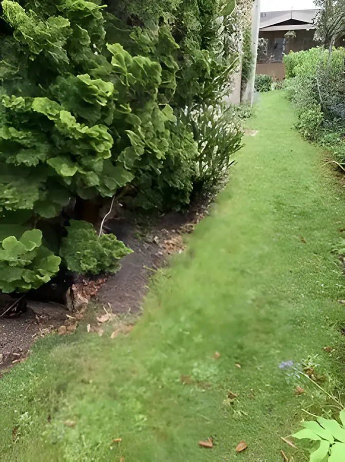 Gazononderhoud door Ruijter Groenservice