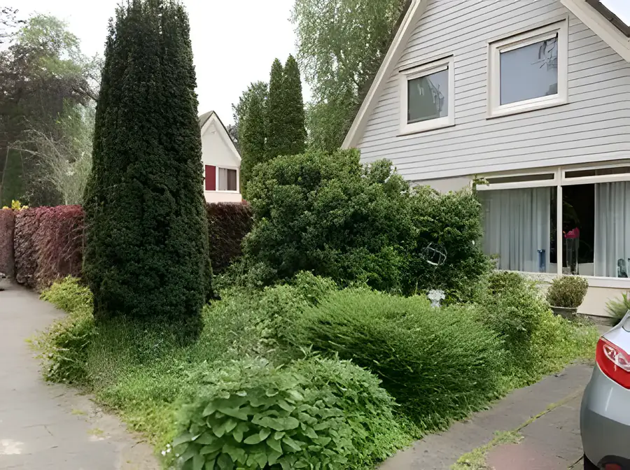 Voortuin weer op orde, voor het werk van Ruijter Groenservice